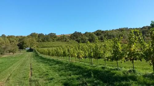 Les hauts de Scy