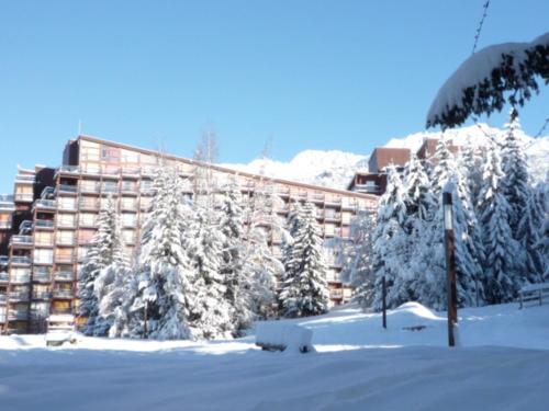 Studio confortable 4 pers, skis aux pieds, proche commerces, animaux admis - FR-1-411-326 in Le Chantel