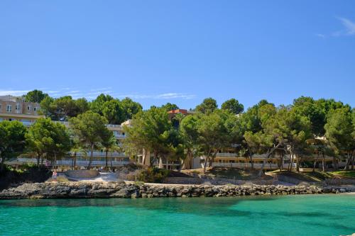 オクシデンタル カーラ ヴィーナス