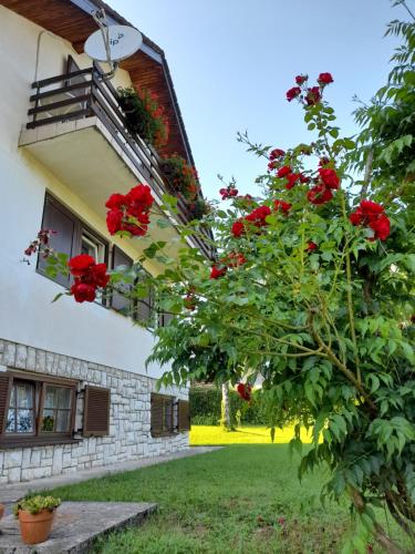 House Draga Plitvice - Accommodation - Plitvička Jezera