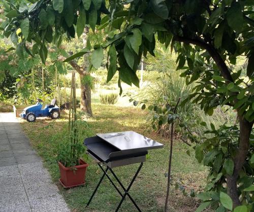 Apartma na vasi Apartma na vasi