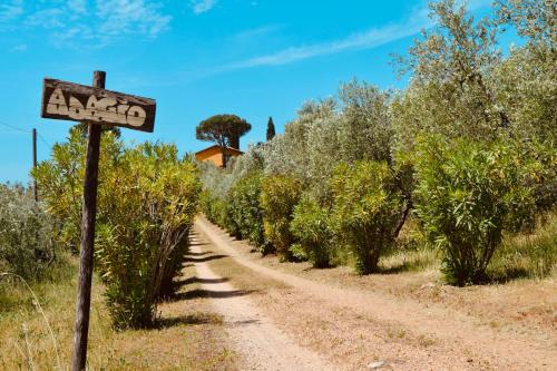  Villa Tramonto - villa con piscina e vista mare in Campiglia Marittima