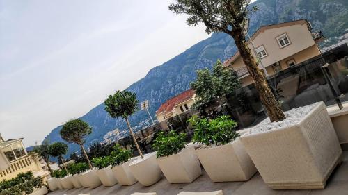 Pemandangan, Casa Nuova in Kotor