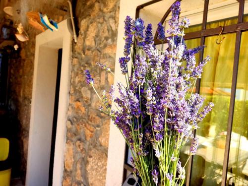  Apartman Pelcic,with WiFi and free parking in Kostrena