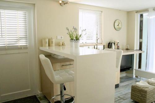  Apartment Silvamare in Domburg