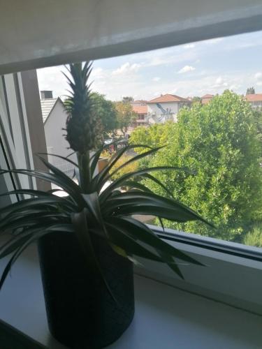 Vistas, Chez Carine in Schiltigheim