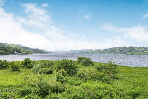 Waedog Bach - image 7