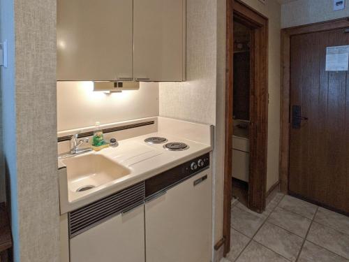 Tamarron Lodge #314 - A/C - Golf - Shared Pool & Hot Tub - Ski Shuttle - image 7