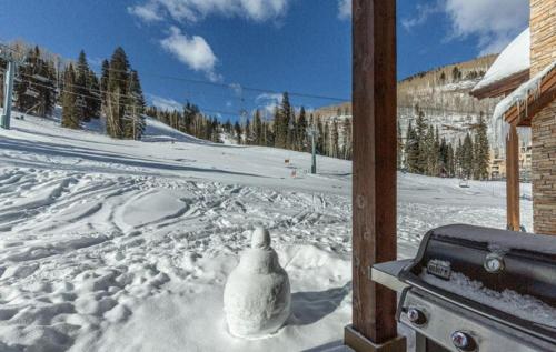 Elkpoint Unit 10, Durango Mountain Resort (photo 10)