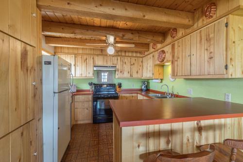 Charming Starlight Cabin in Creede, USA