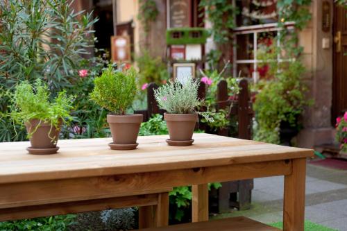 Hotel Suisse - image 2