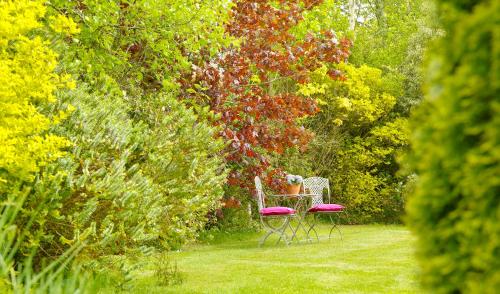 Courtyard Cottages - image 3