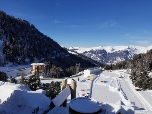 Appartement renove lumineux 2 pieces · Centre station La Plagne · Balcon · Animaux admis - FR-1-181- in La Plagne