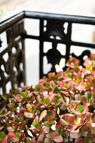 Okako Hotel - image 3
