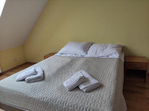 Apartament Pod lasem - Apartment - Police