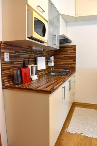 Konyha, Family home Lipno Lake, Airstay Lipno in Lipno nad Vltavou