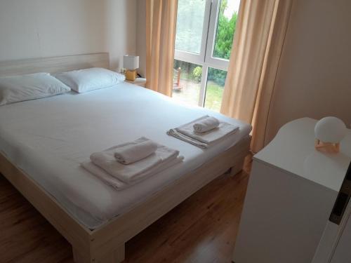 Apartment image 1