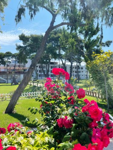 Divjaka Resort - image 14