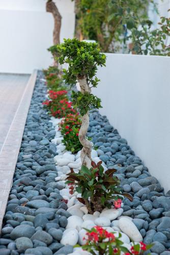 Dias Luxury Homes