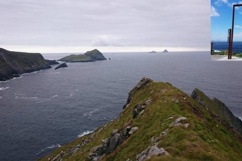 Skellig View Bluebell Rose & The Kerry Cliffs