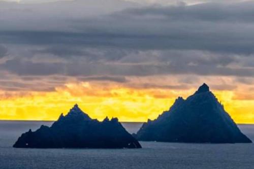 Skellig View Bluebell Rose & The Kerry Cliffs