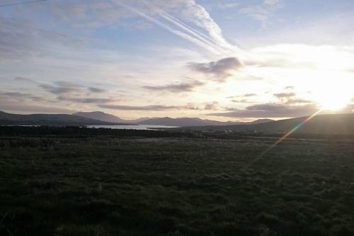 Skellig View Bluebell Rose & The Kerry Cliffs