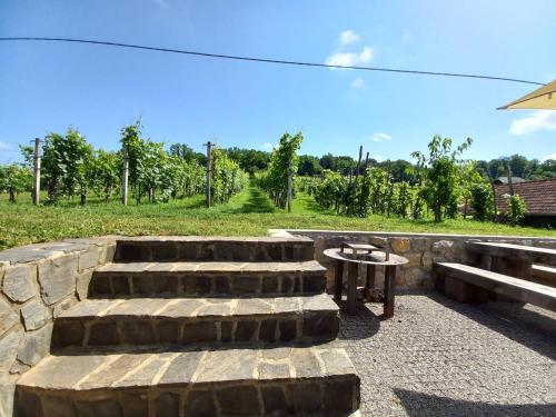 Have, Vineyard Cottage Maleric with Pool Access in Dragatus