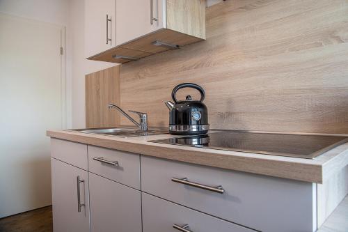 One-Bedroom Apartment image 6