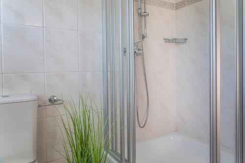 One-Bedroom Apartment image 3