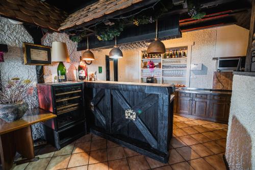 酒吧/高級酒吧, 伊思特尼克別墅 (Villa Istenic) in 比澤利斯哥