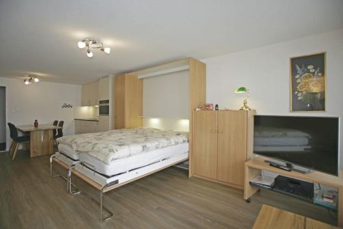 Adler 76, Leukerbad (Foto 4)
