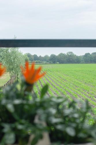 Hermans huisje: het mooiste uitzicht van Twente? in Haaksbergen