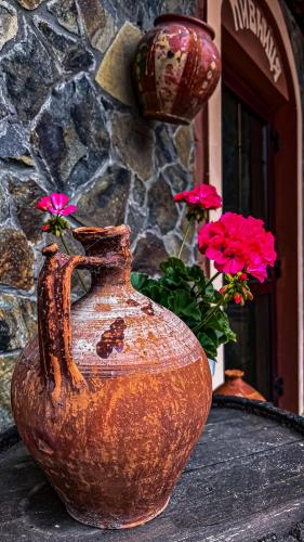 康普勒克斯巴豪斯酒店 康普勒克斯巴豪斯酒店