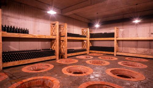 Εξωτερική όψη, Giuaani Winery in Sagarejo