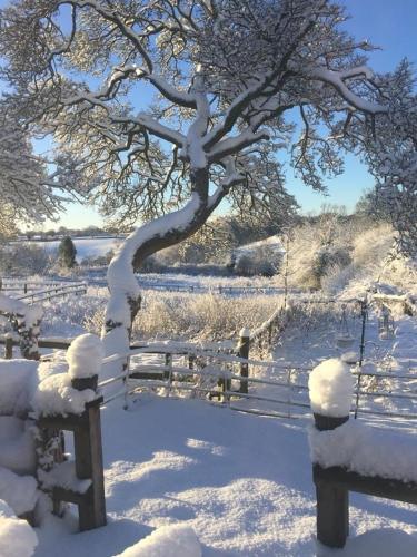 The Shepherd's Hut with pool now open