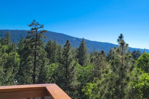 The Birds Nest in Big Bear Lake, USA