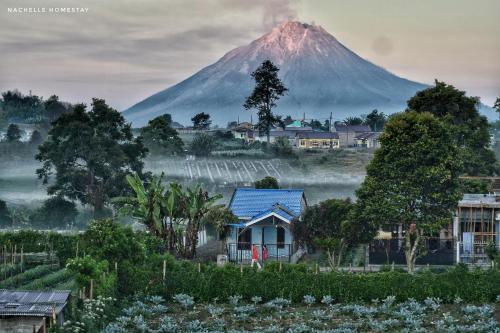 Nachelle Homestay in Berastagi Town