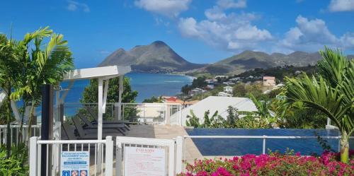 studio cosi, jardin privé, vue magique depuis piscine à débordement de la résidence, Le Diamant (foto 4)
