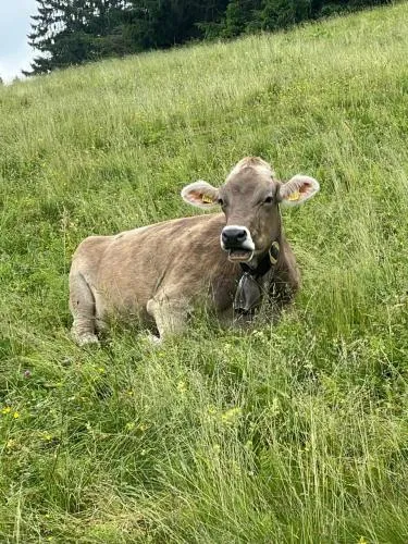 Schöne Aussichten in Missen-Wilhams, Deutschland