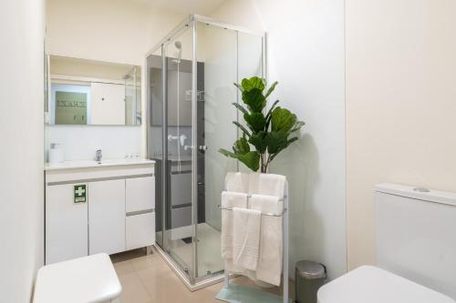 Domus 21 - Entreparedes