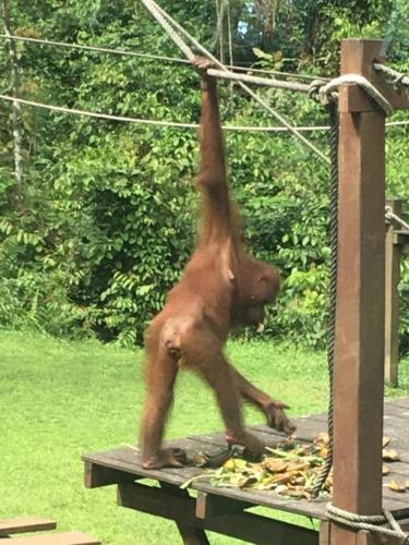 The Cottage Studio in Wool