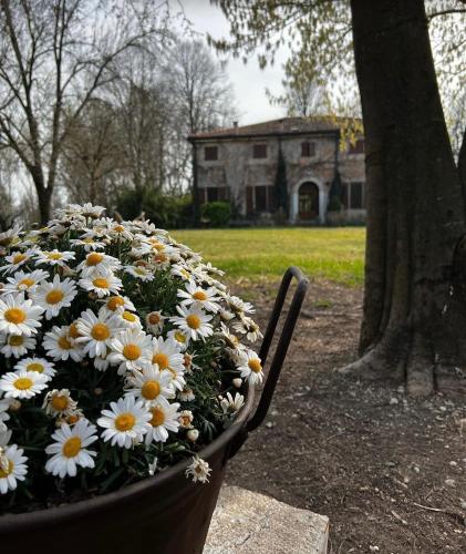 Agriturismo Corte San Girolamo - Hotel - Mantova