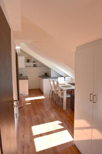 NEW CENTRAL ROOFTOP with private WELLNESS, Sauna & Whirlpool bath, Praha (fotografie 7)