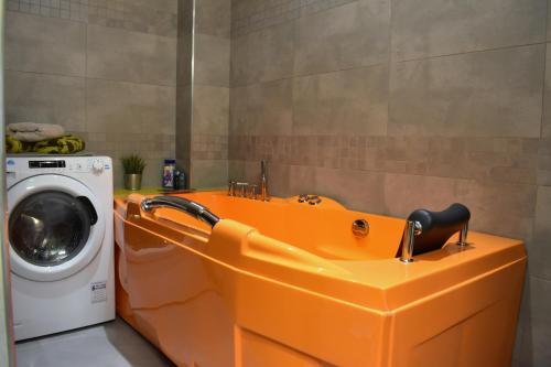 NEW CENTRAL ROOFTOP with private WELLNESS, Sauna & Whirlpool bath, Praha (fotografie 6)