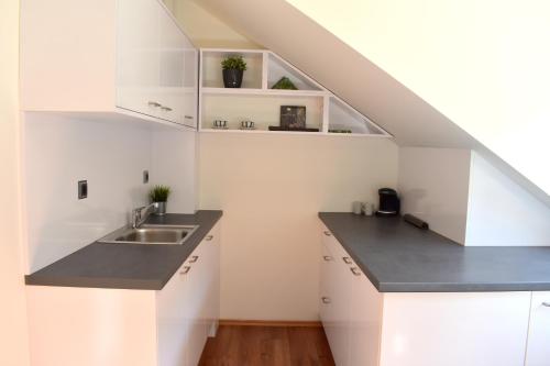 NEW CENTRAL ROOFTOP with private WELLNESS, Sauna & Whirlpool bath, Praha (fotografie 4)