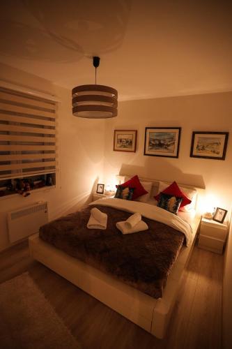 Zlatar Reset in Nova Varoš