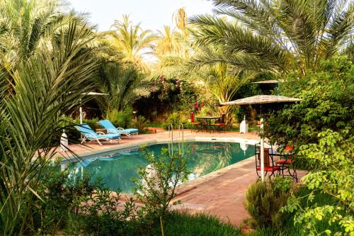 Riad Zagora Palms