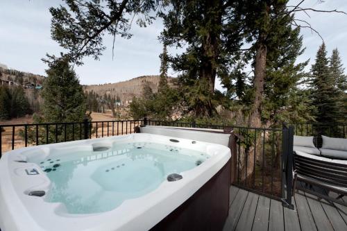 49330 Highway 550, Durango Mountain Resort (zdjęcie 6)