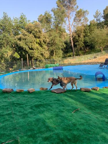  TRUFA PARK Turismo rural, Unterkunft in Porqueres