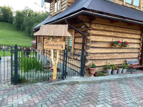 Złocień, Zakopane